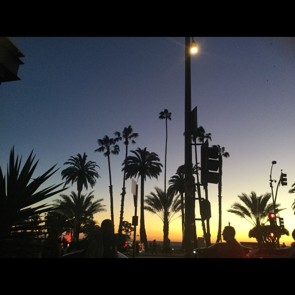 Meet your Posher, Genesis